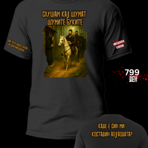 Слушам кај шумат шумите